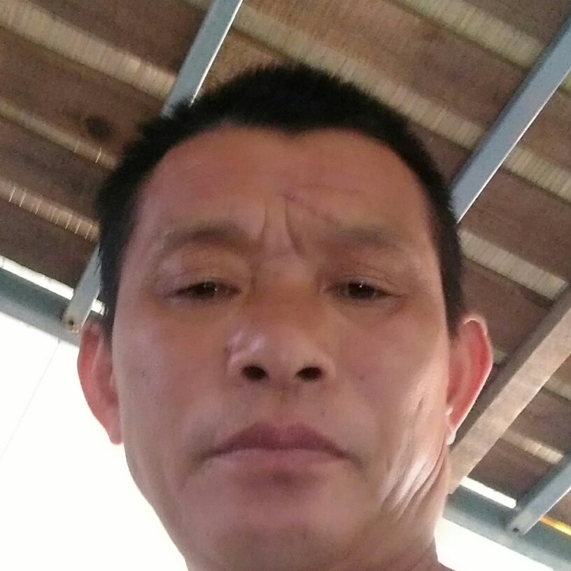 高挑回眸晨阳的照片