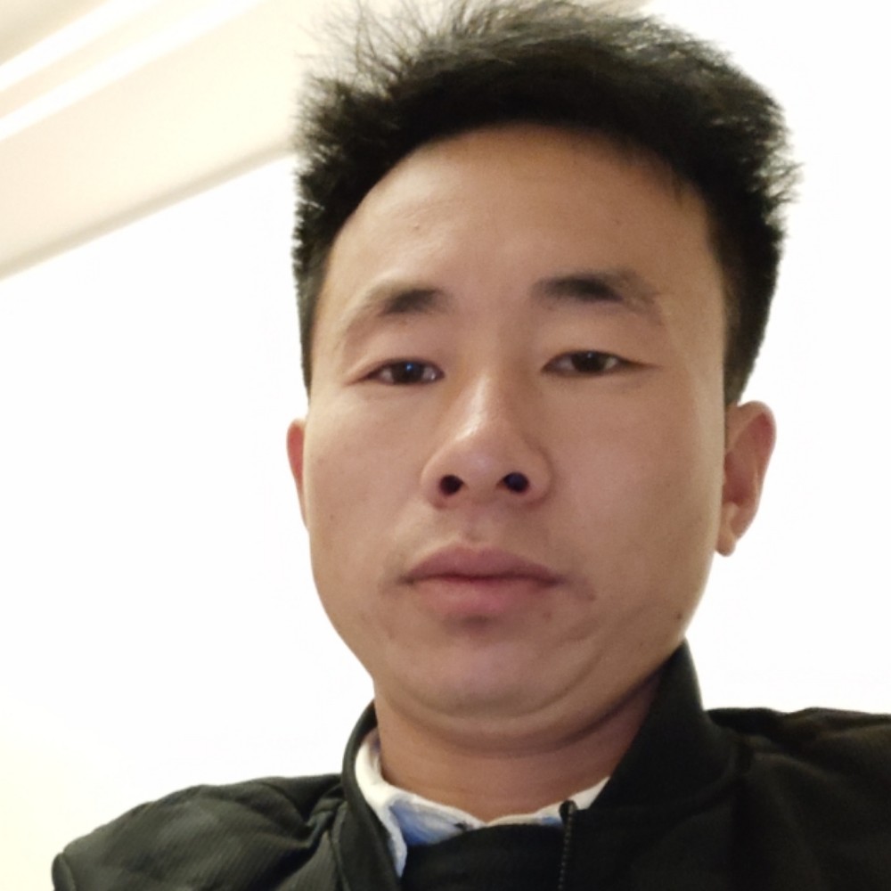 小懒猪兴奋的照片