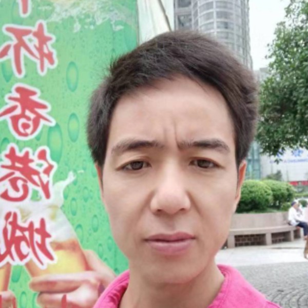 黄蜂谨慎的照片