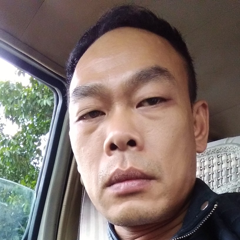 舒坦马的照片