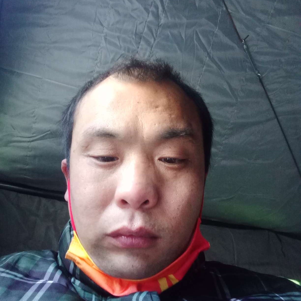 会员334298213的照片