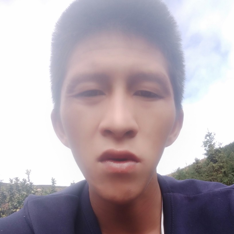 聪明缱绻的照片