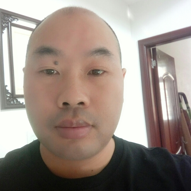认真斑马的照片