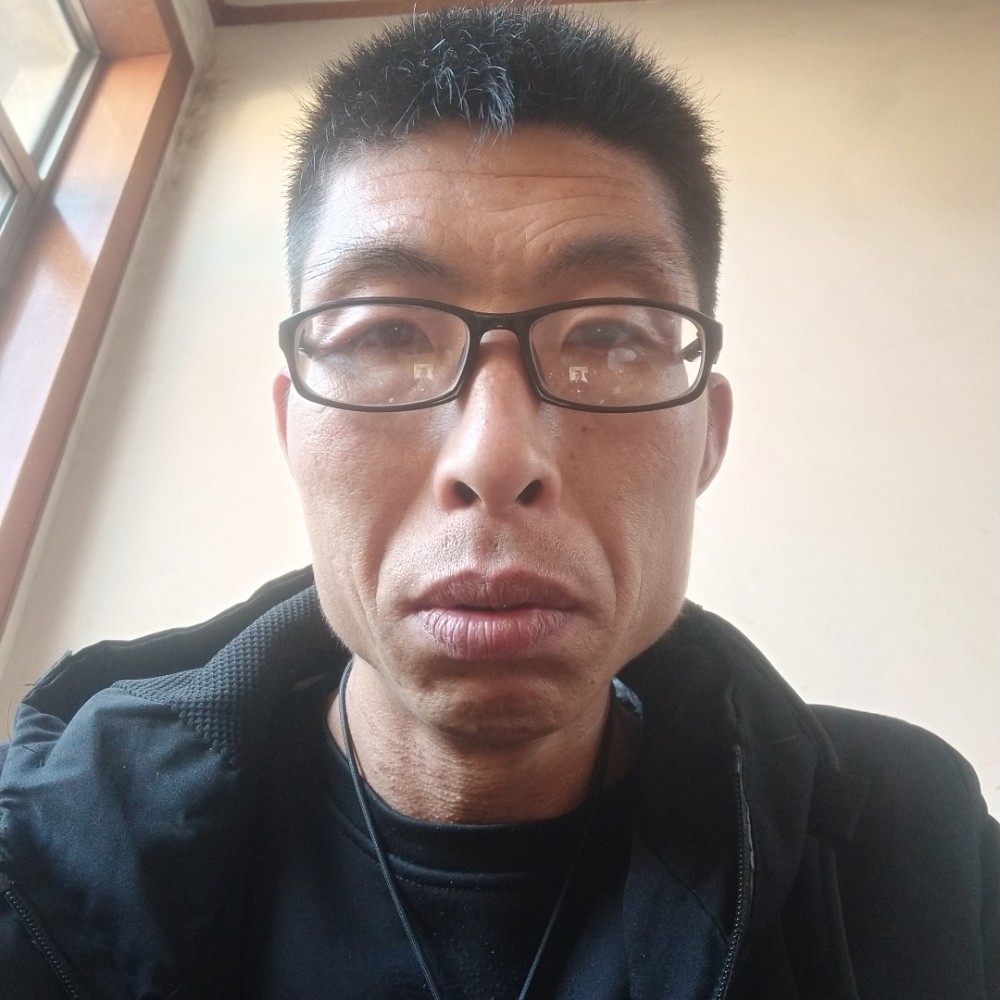 含羞草初夏的照片