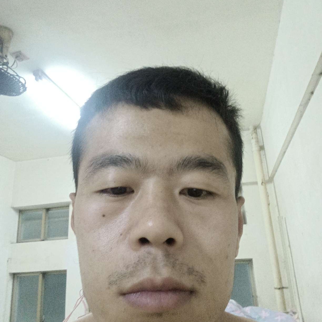 傲娇回首小蝴蝶的照片