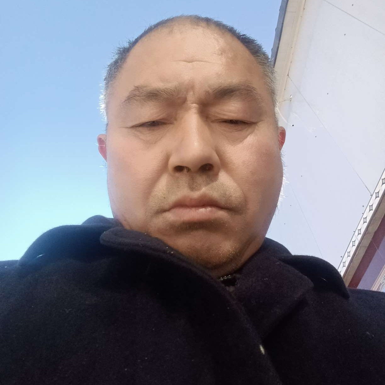 毛毛虫睡不着的照片