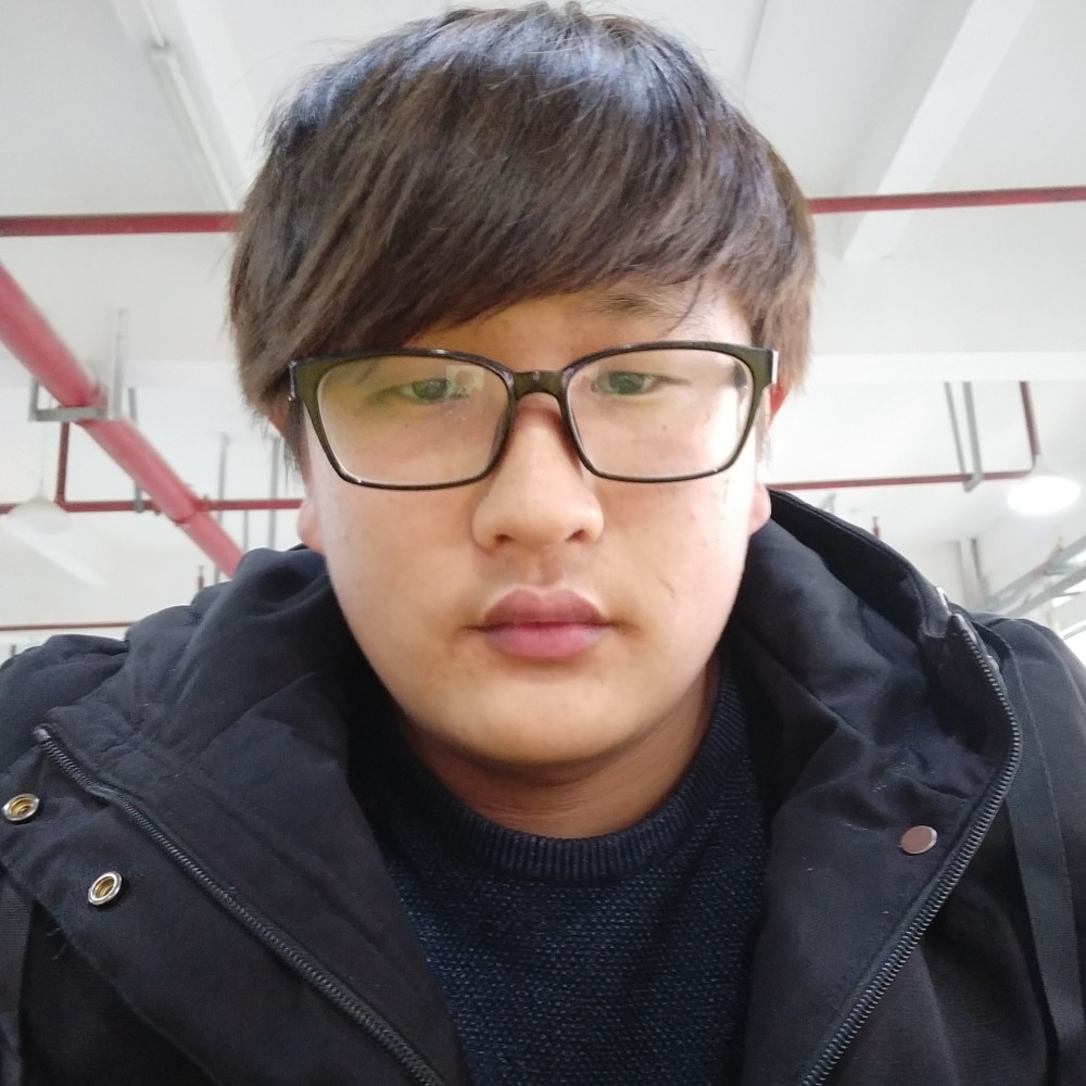 落叶安知风吹雨的照片