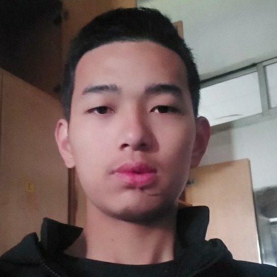 蜜蜂相许美好的照片