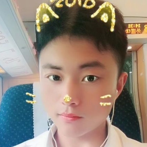 小猫咪浅吻单身的照片