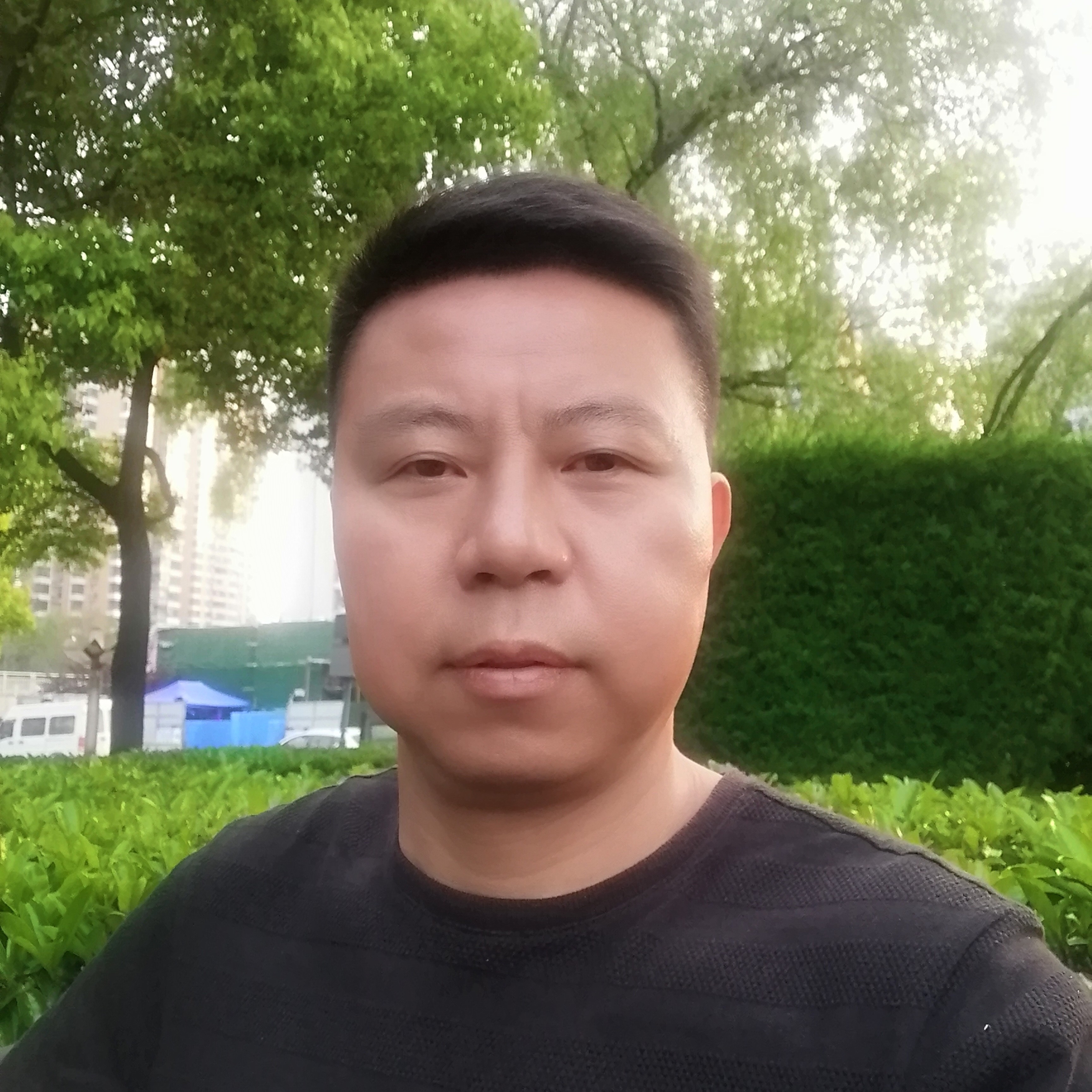 活力凝眸小猫咪的照片