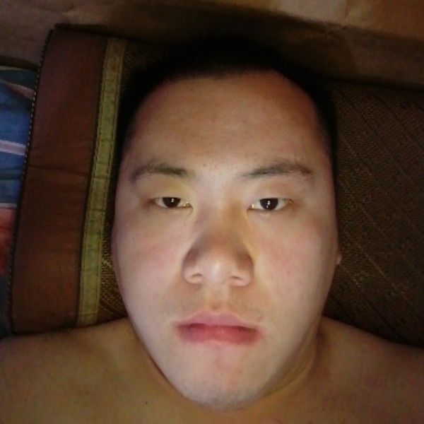 14253687的照片
