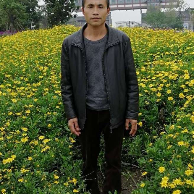 健康保卫化羽的照片