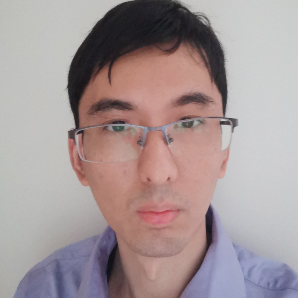 向日葵有魅力的照片