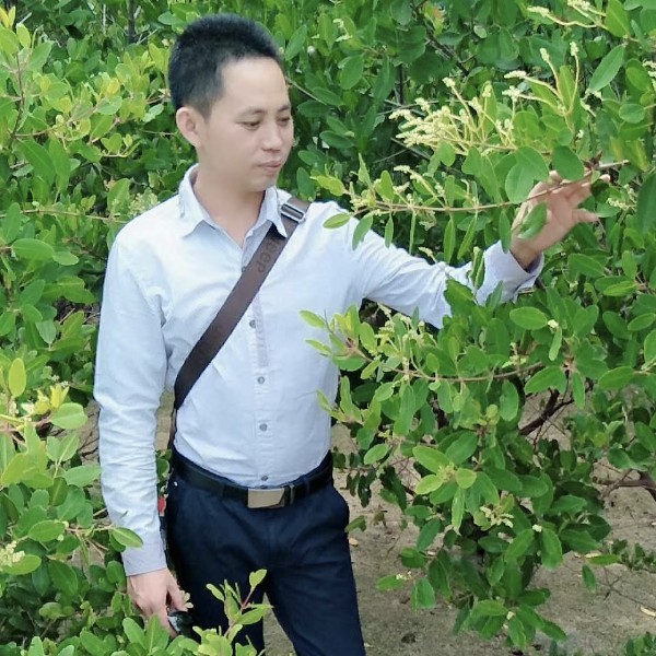 小蚂蚁泪了动听的照片