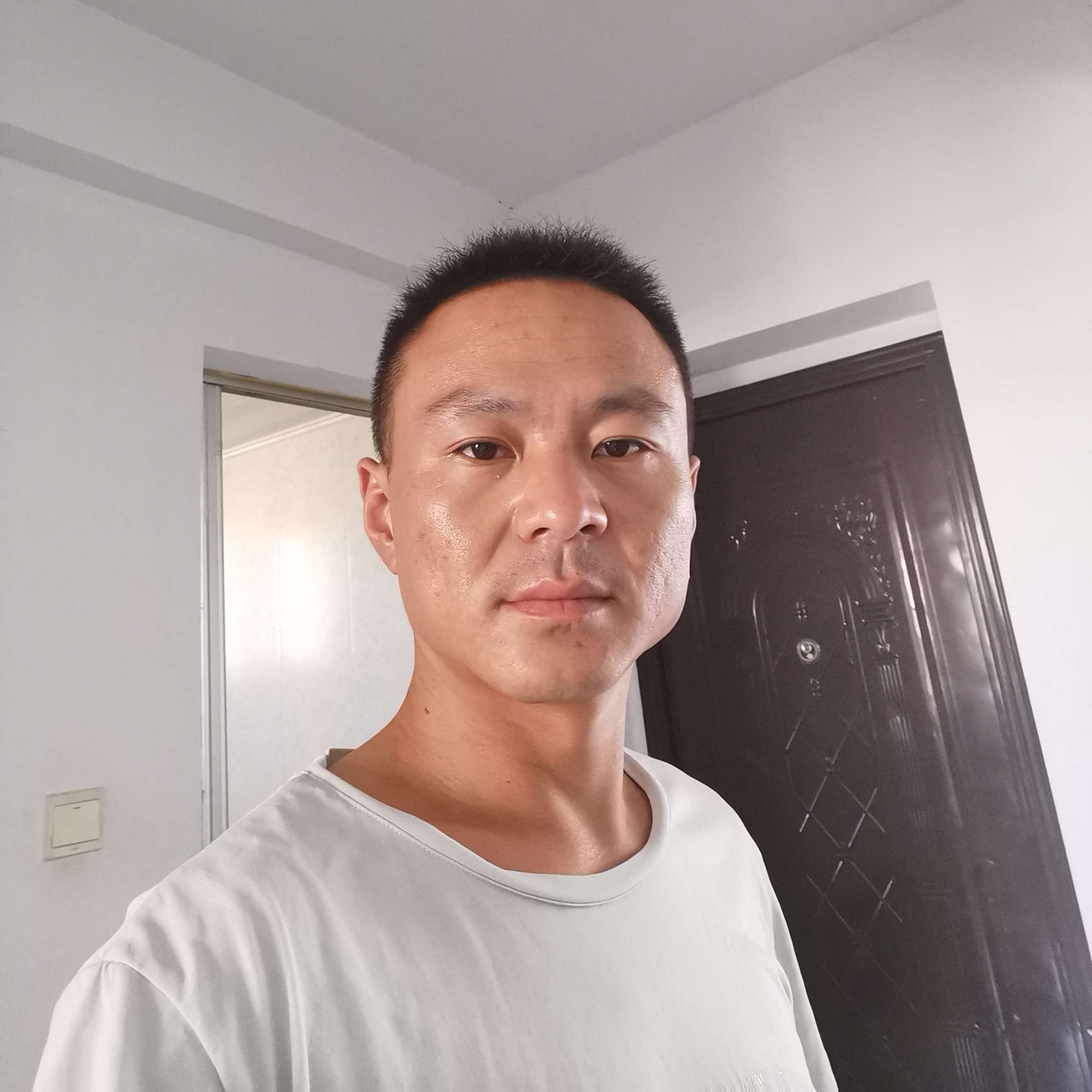 斑马初见的照片