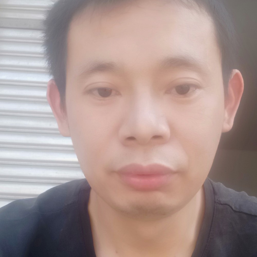 黄蜂坚定的照片