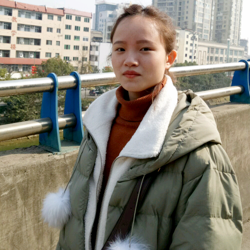 观赏的鱼的照片