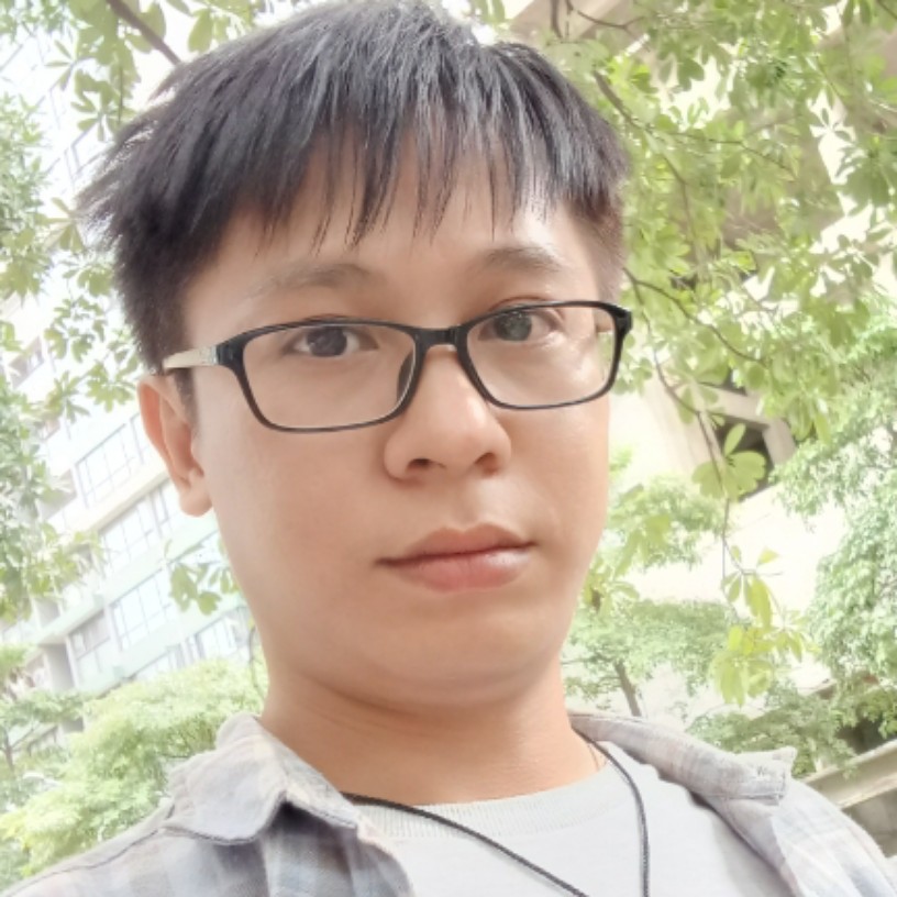 褪色的小提琴的照片