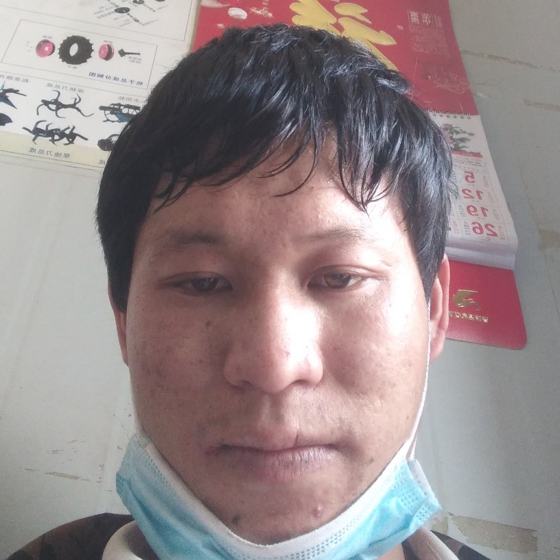 汽车还俊逸的照片