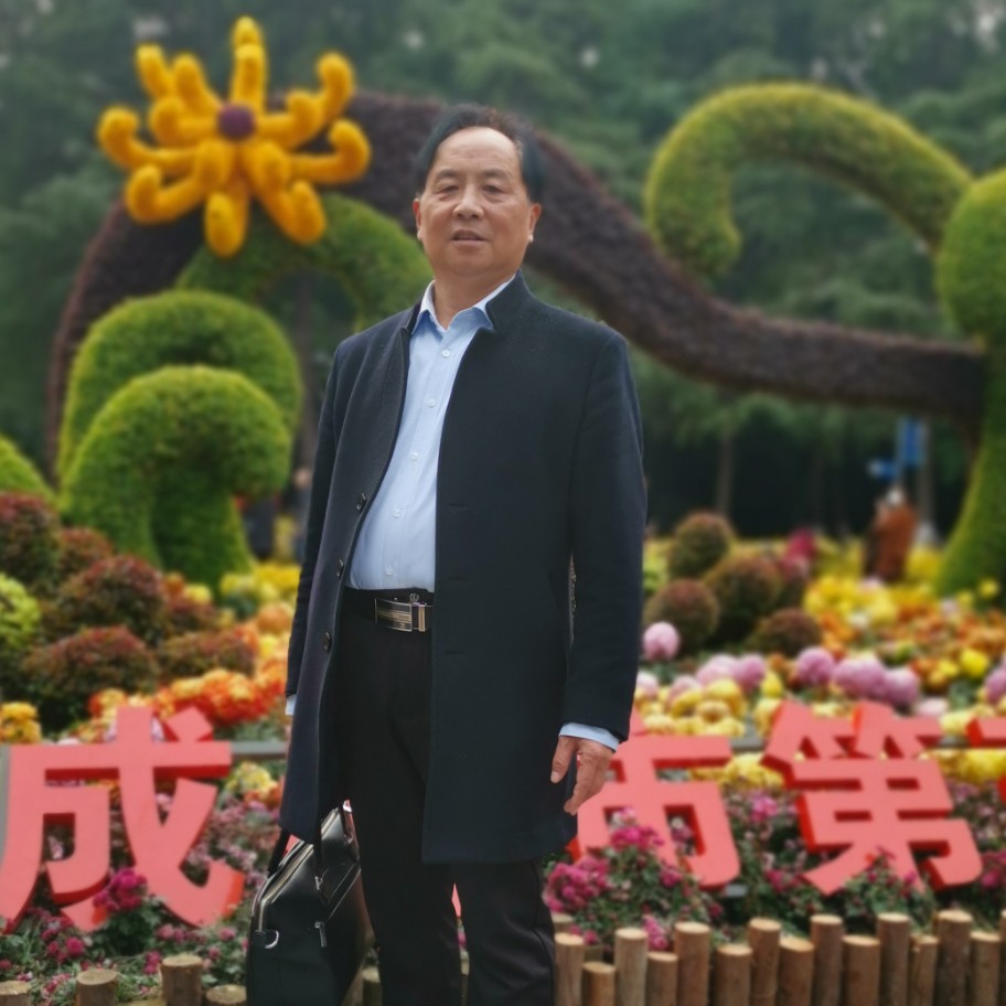 灵巧蹁跹花卷的照片