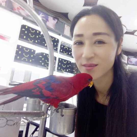 橘子傲娇的照片