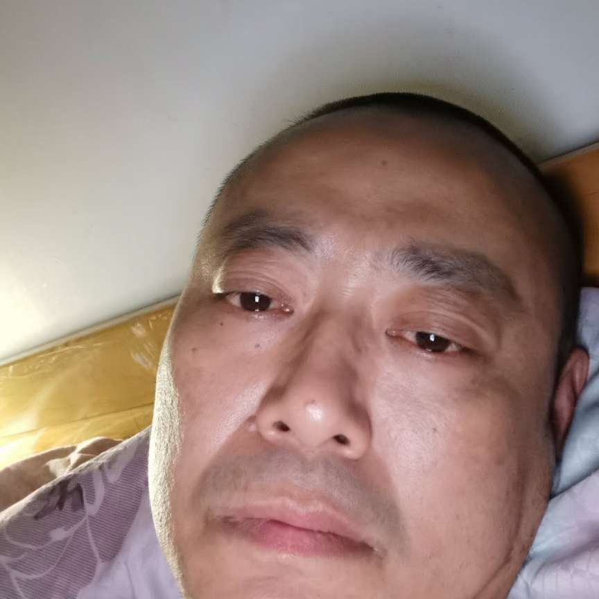 不胖的耙耳朵的照片