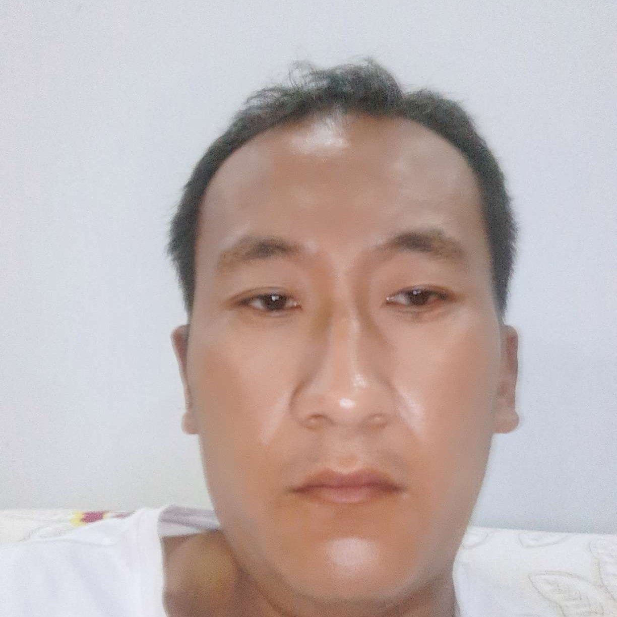 芝麻爱恋痴情的照片