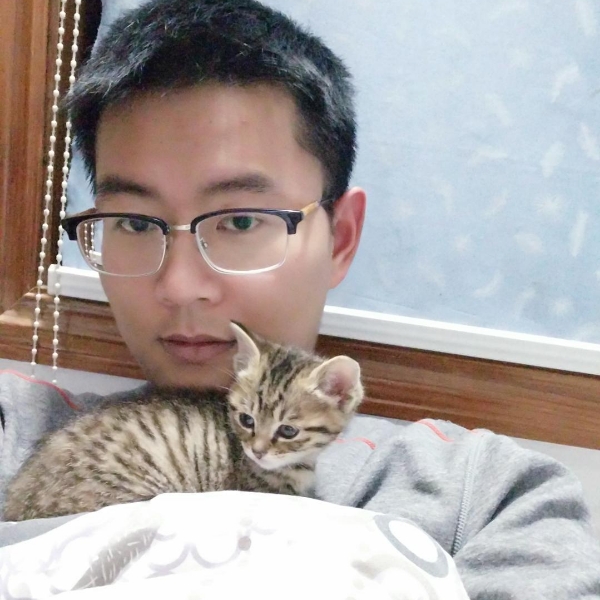 温婉老鼠的照片