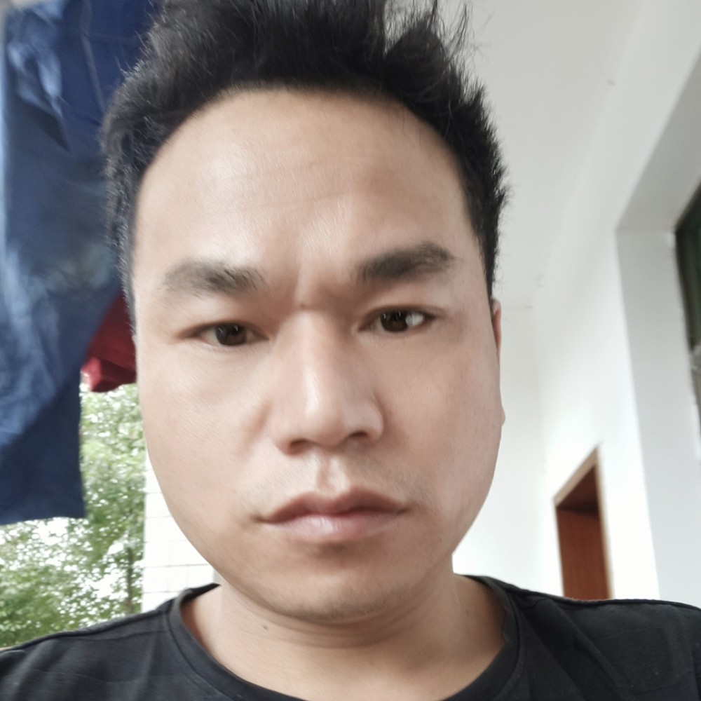 海里的小鱼的照片