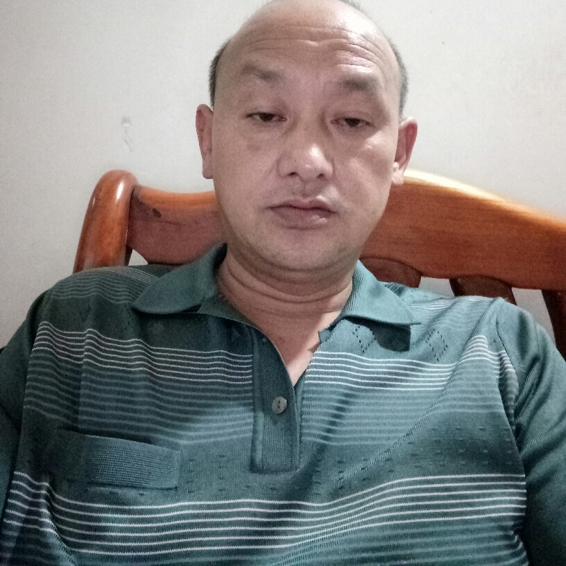生动金鱼的照片