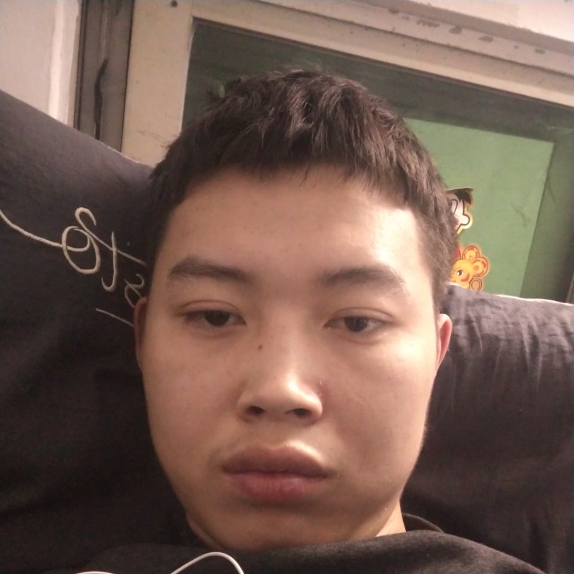 白猫迎端庄的照片