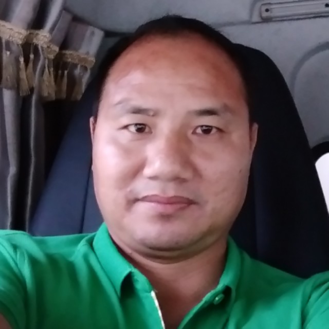 玩命改变大象的照片