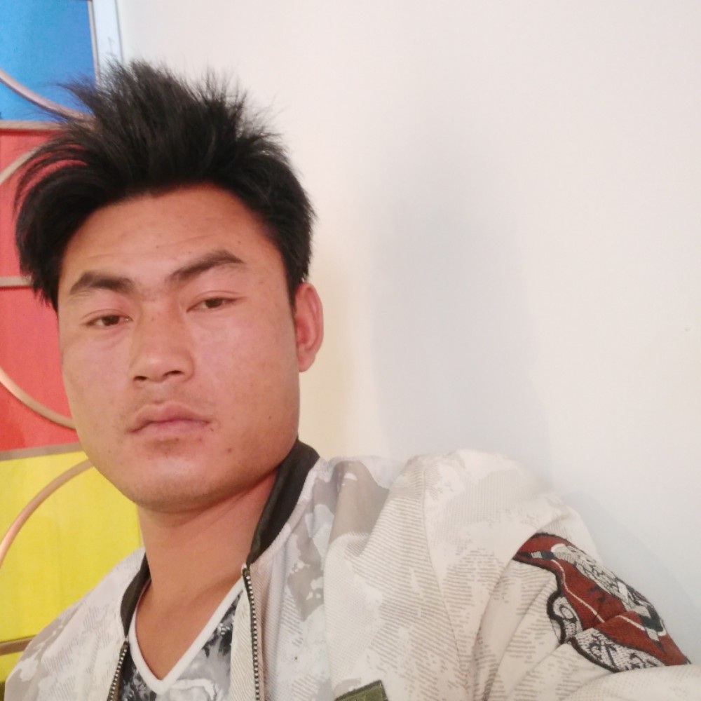 乌龟停止怕孤独的照片