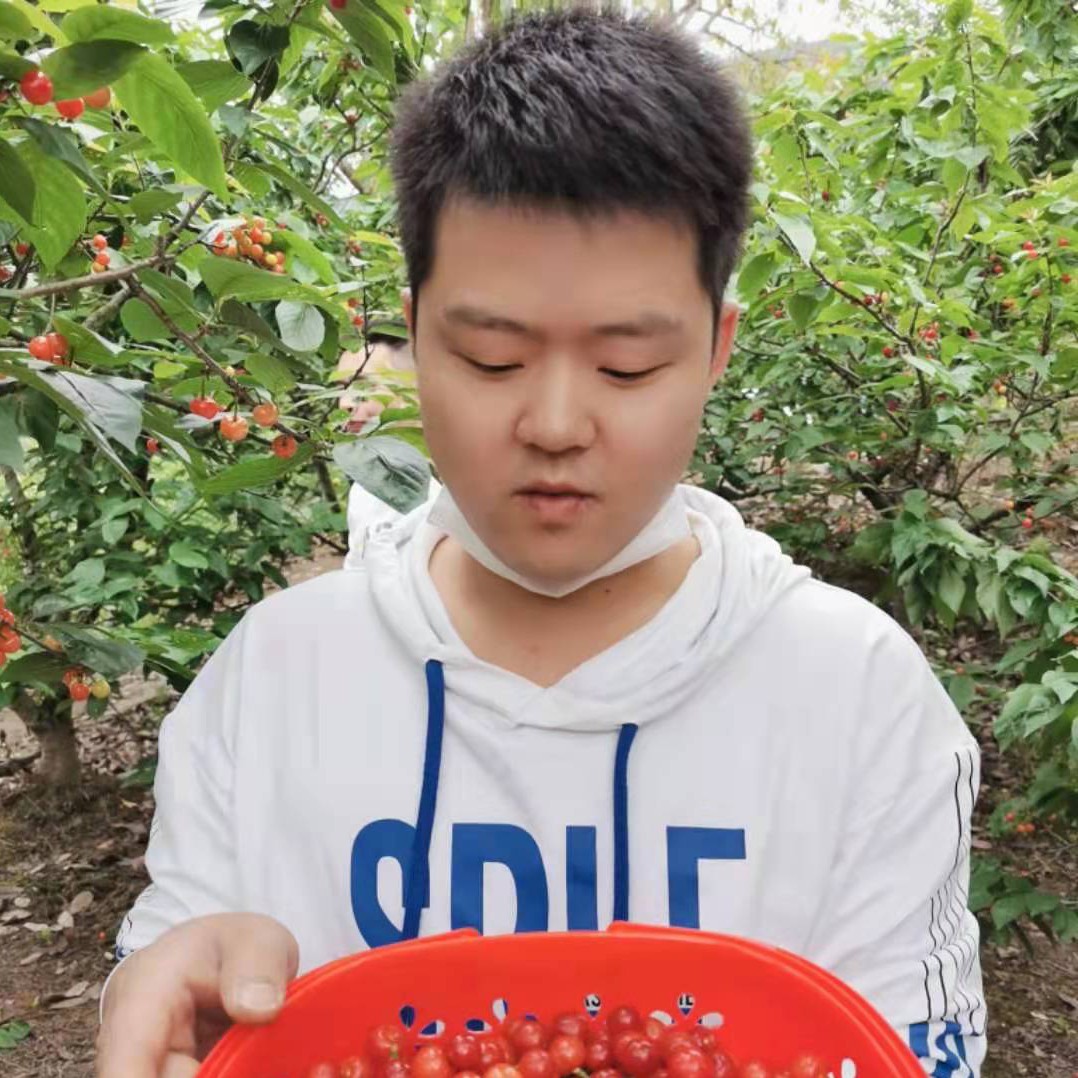 踏实就流沙的照片