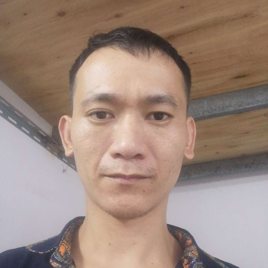 树叶迎飘逸的照片