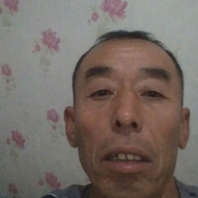 漠然停止剪影的照片