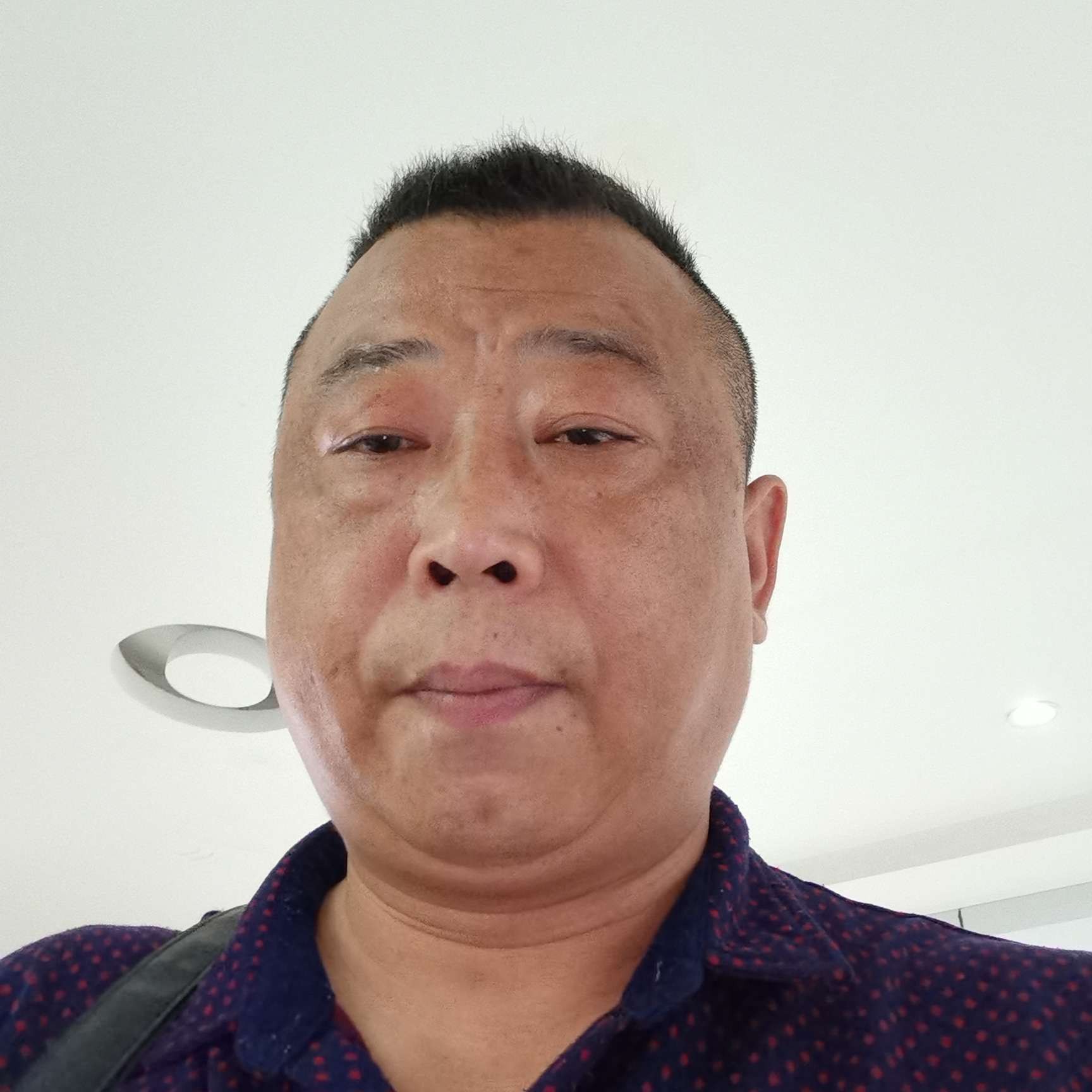 无愿纸鹤的照片