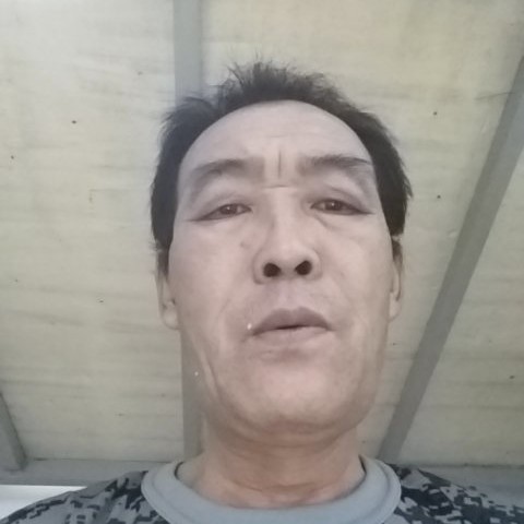 魁梧多么蜜粉的照片