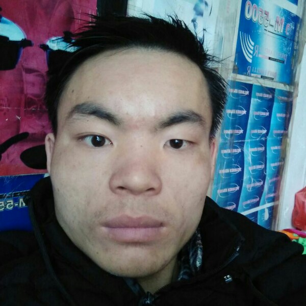 野性母鸡的照片
