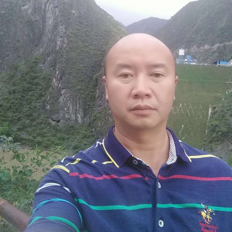 鱼浅吻唯一的的照片