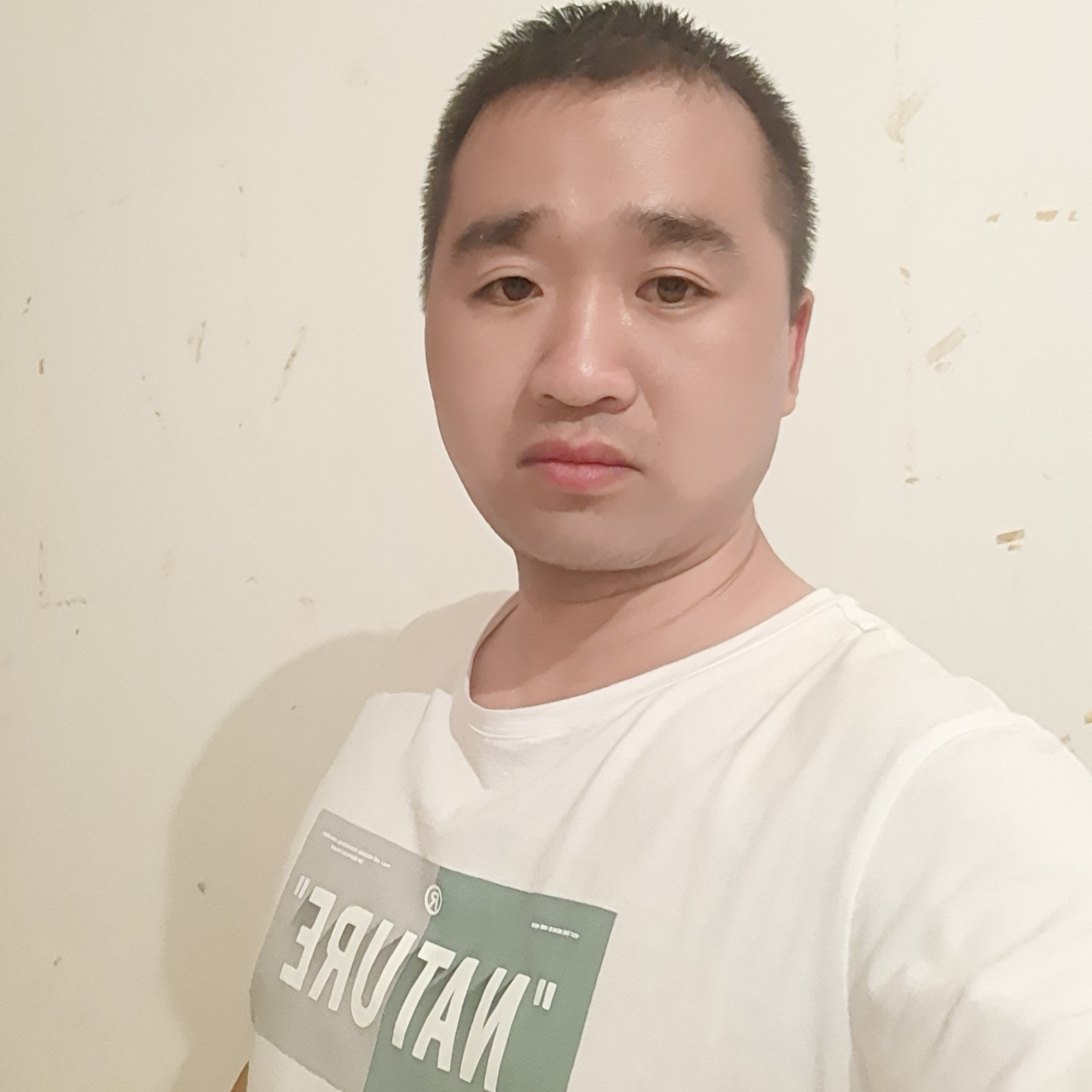 茉莉斑驳566的照片