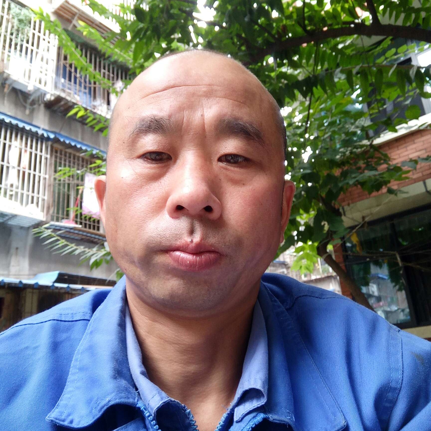 飞机上的相遇的照片