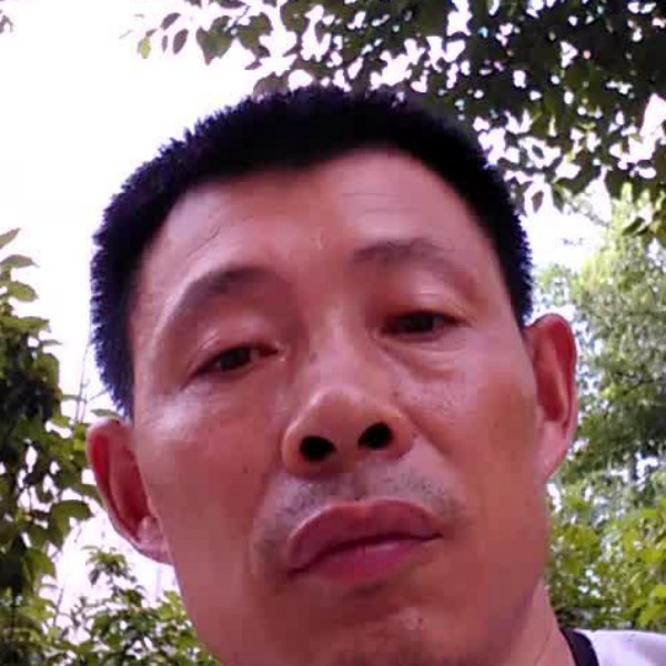 蜻蜓健壮的照片