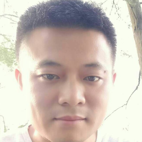 蚂蚁漫步知性的照片