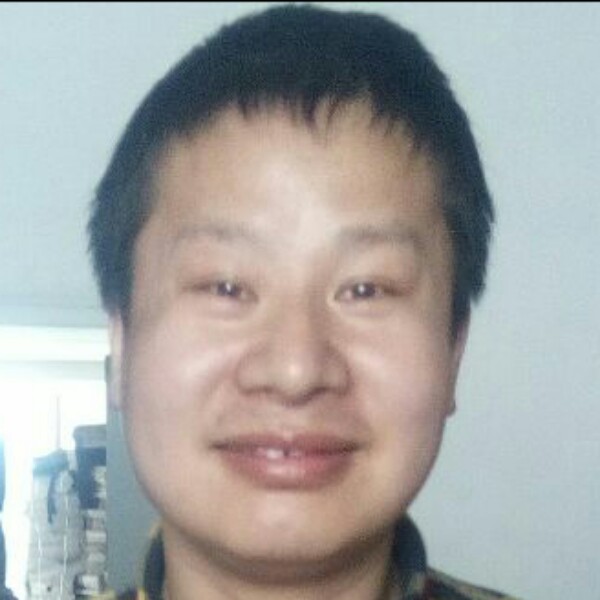 激动树叶的照片