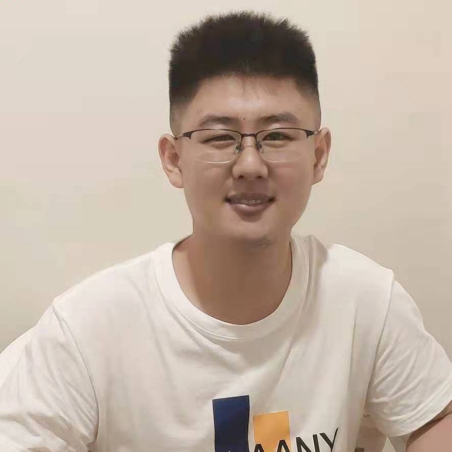 一只可爱的小小鸟的照片