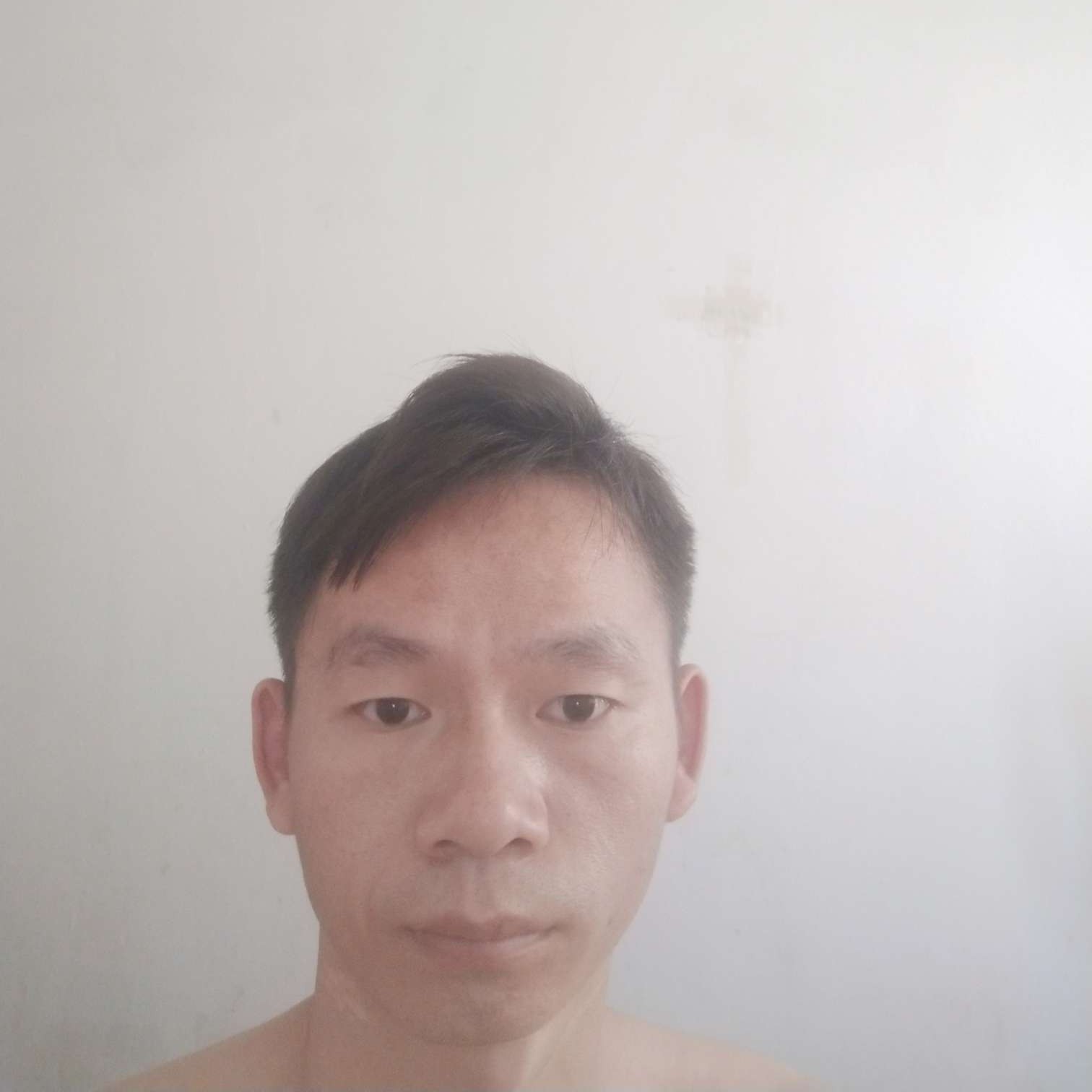动物的本质是的照片