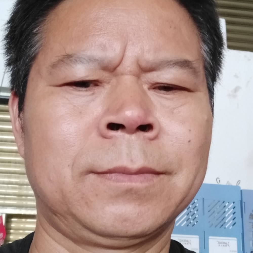 向日葵方烂漫的照片