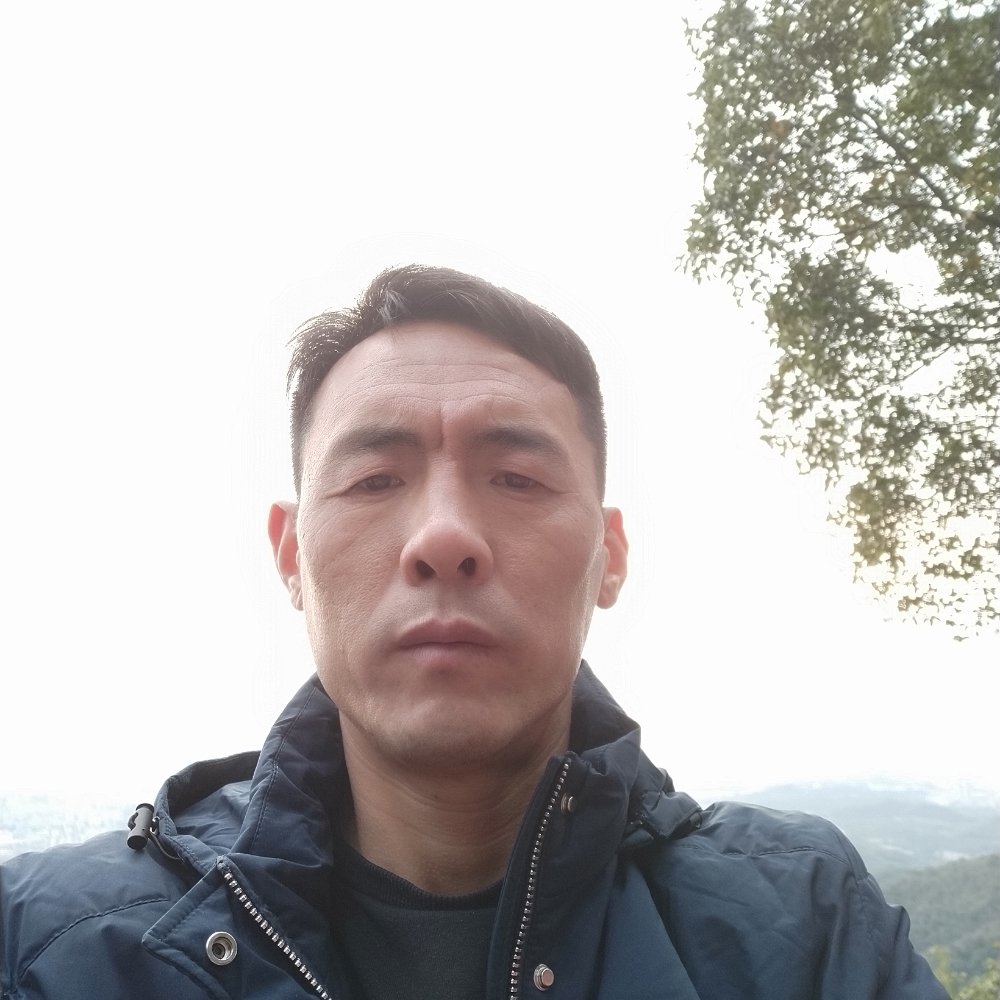 孤独地漫游的照片