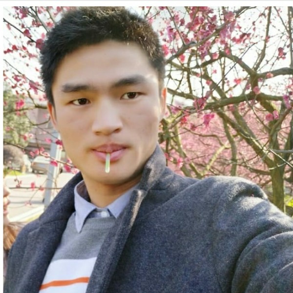 太阳深情的照片